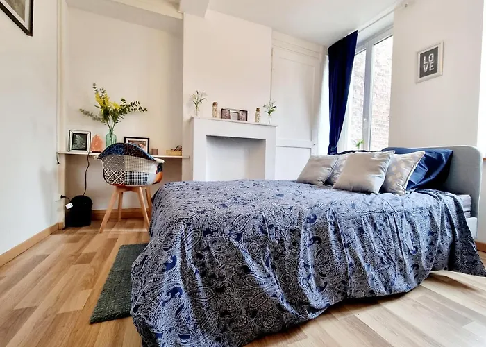 Apartement Lille
